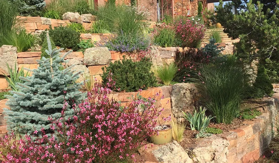 Top-rated garden landscaping in Santa Fe, NM - McCumber Fine Gardens