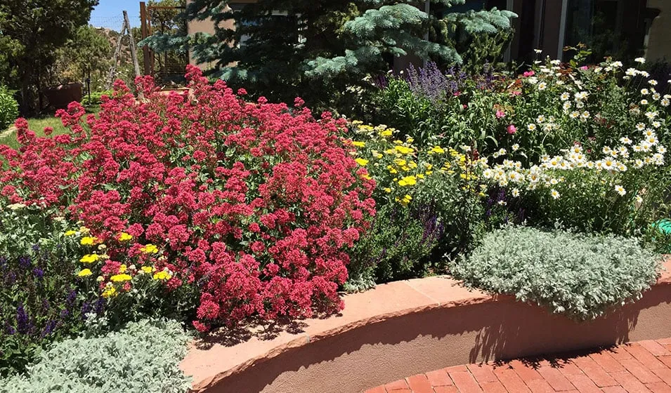 Local landscape design experts serving Santa Fe, NM - McCumber Fine Gardens