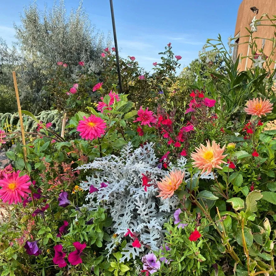 Professional lawn mowing service for residential properties across Santa Fe, NM - McCumber Fine Gardens