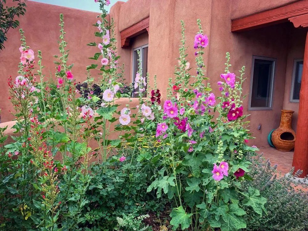 Custom yard cleanup service with custom design in Santa Fe, NM by McCumber Fine Gardens