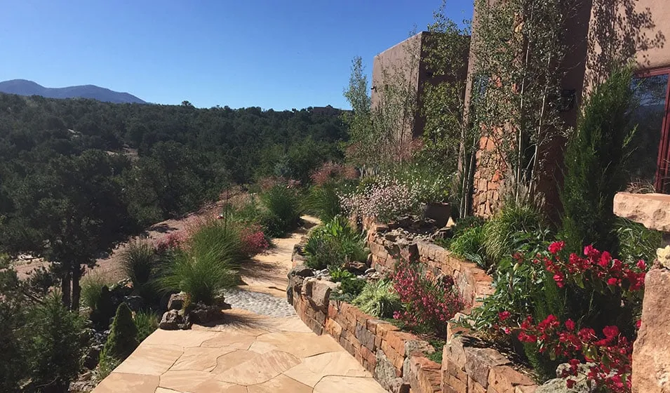 Trusted yard cleanup service for year-round maintenance in Santa Fe, NM by McCumber Fine Gardens