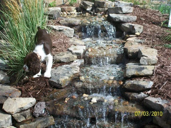 Trusted lawn care service for homes across Gretna, NE - McCune Landscaping