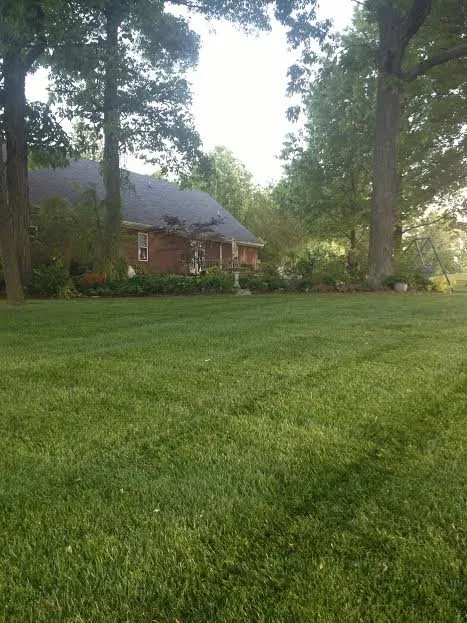 Professional landscape design experts serving Dyer, TN - McCurdy Sod Farms