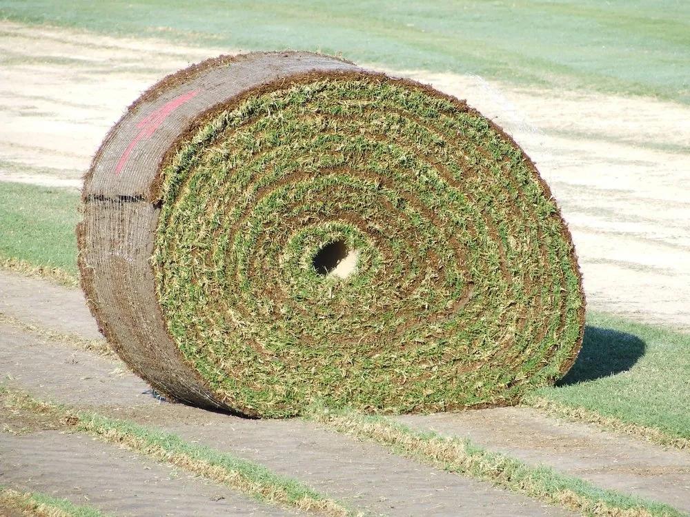 Affordable lawn mowing service experts serving Dyer, TN - McCurdy Sod Farms