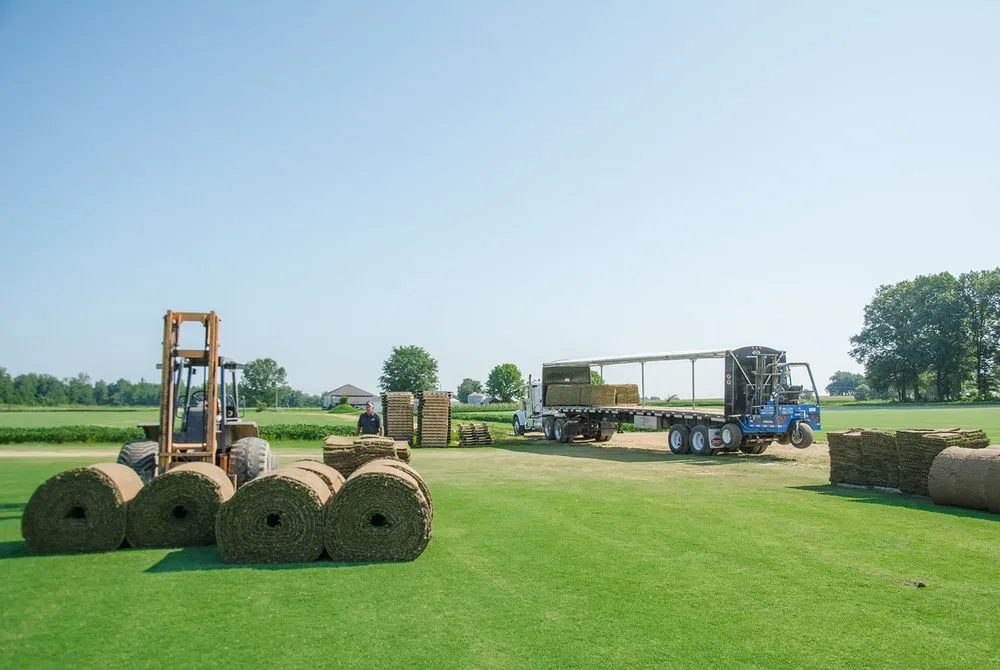 Local lawn care service with custom design across Dyer, TN - McCurdy Sod Farms