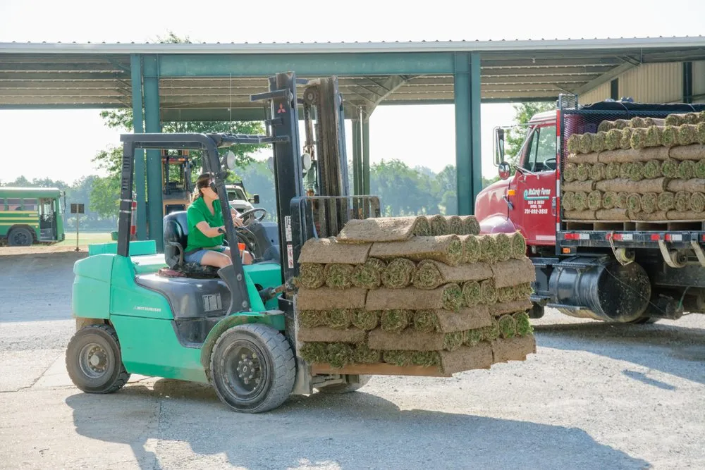 Professional yard maintenance for outdoor upgrades across Dyer, TN - McCurdy Sod Farms