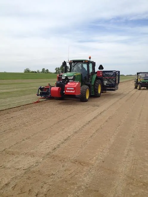 Professional yard cleanup service for outdoor upgrades across Dyer, TN - McCurdy Sod Farms
