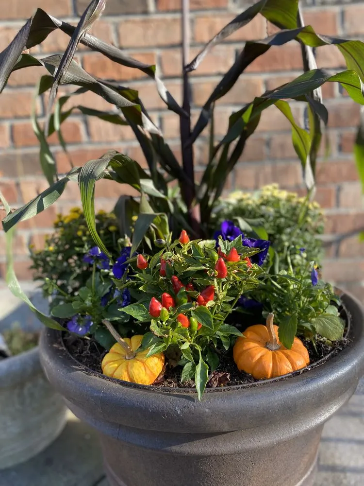 Trusted landscape design near you across Westbury, NY - McCutchan Landscaping & Irrigation