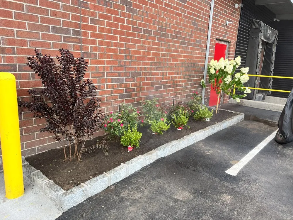 Reliable yard cleanup service in Westbury, NY by McCutchan Landscaping & Irrigation