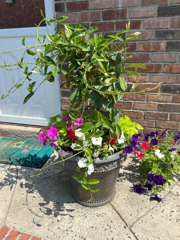 Reliable landscape installation experts serving Westbury, NY - McCutchan Landscaping & Irrigation