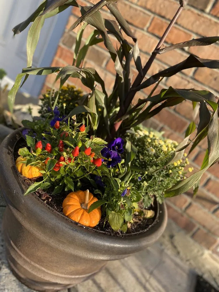 Affordable yard cleanup service in Westbury, NY by McCutchan Landscaping & Irrigation