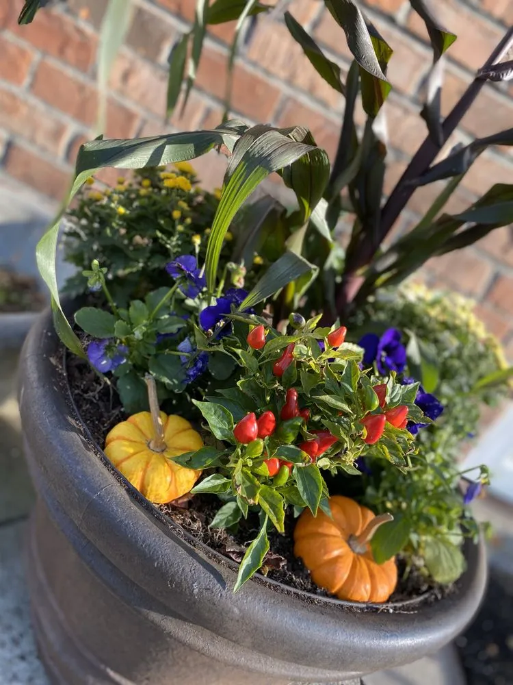 Custom garden landscaping for beautiful yards in Westbury, NY by McCutchan Landscaping & Irrigation