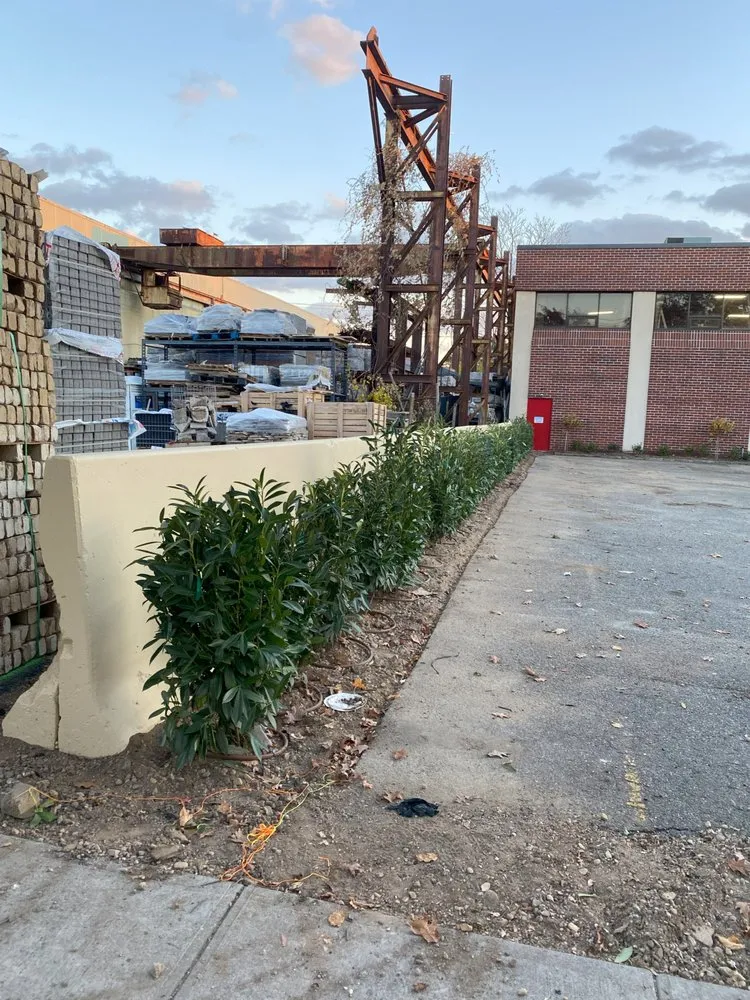 Reliable yard maintenance in Westbury, NY - McCutchan Landscaping & Irrigation