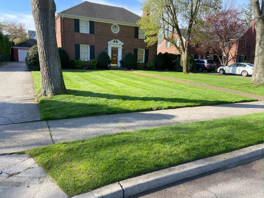 Custom yard cleanup service in Westbury, NY - McCutchan Landscaping & Irrigation