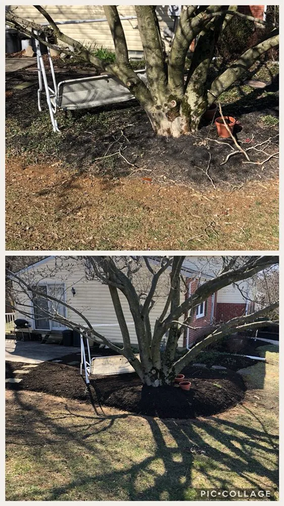 Custom landscaping services near you in Baltimore, MD by McCutters Lawnscapes