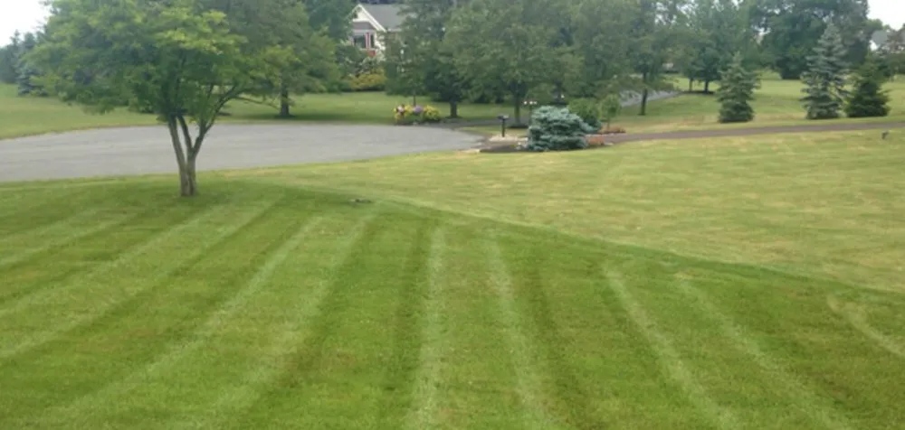Affordable lawn care service in Baltimore, MD by McCutters Lawnscapes