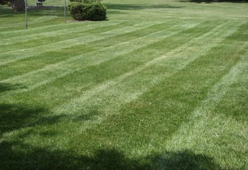 Expert yard maintenance in Baltimore, MD - McCutters Lawnscapes