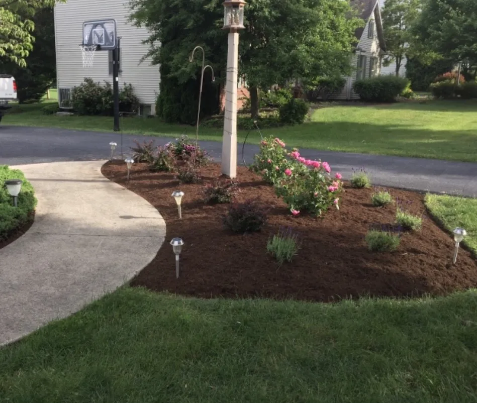 Trusted lawn care service in Baltimore, MD by McCutters Lawnscapes