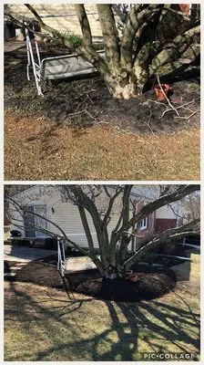 McCutters Lawnscapes Logo