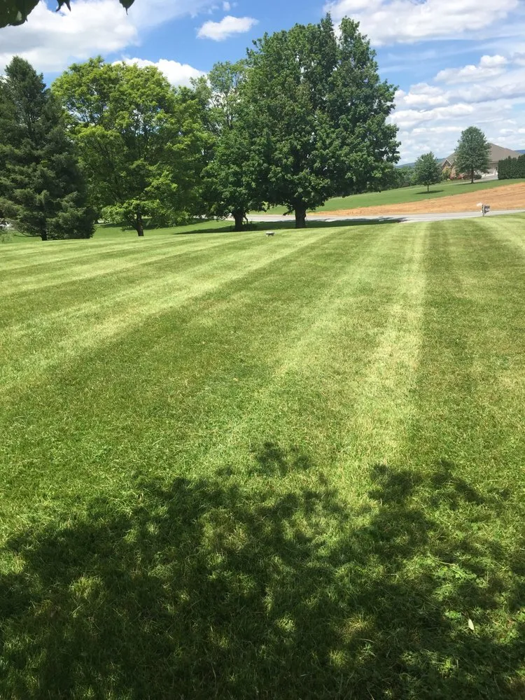 Top-rated garden landscaping in Harrisburg, PA - MCD Lawn & Lanscape