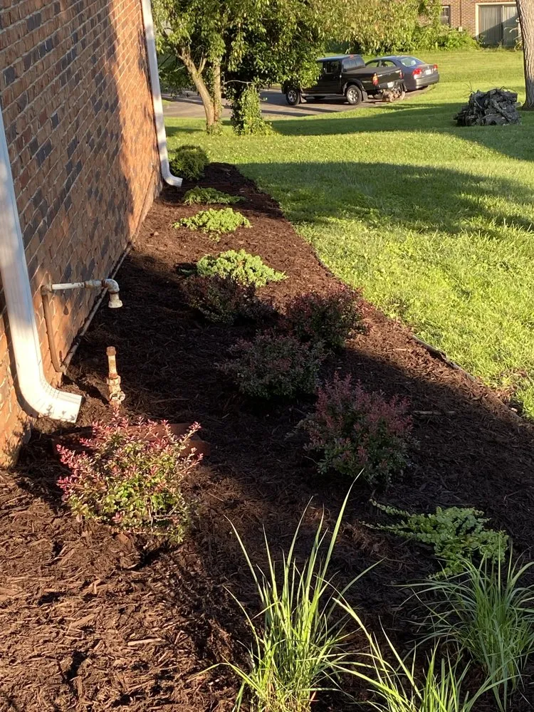 Expert yard cleanup service in Elizabethton, TN - McDaniel’s Landscaping