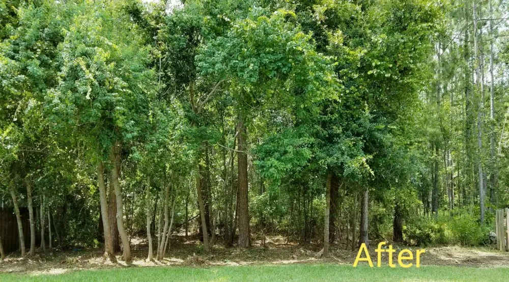 Local landscape design in Jacksonville, FL by McDaniel's Lawn Care & Landscaping