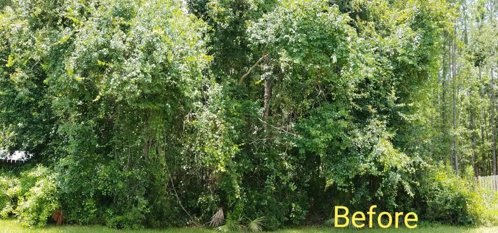 Custom lawn mowing service in Jacksonville, FL by McDaniel's Lawn Care & Landscaping