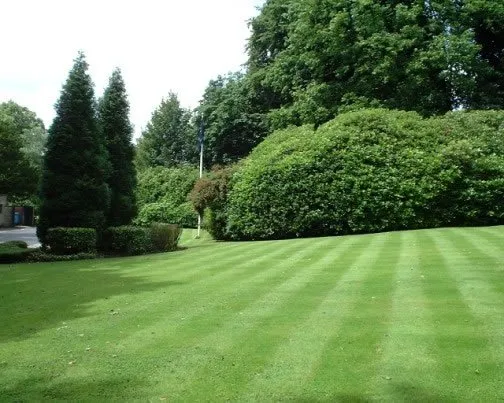 Expert landscaping services for homes across Greenwood, IN - McDaniel's Lawn Care