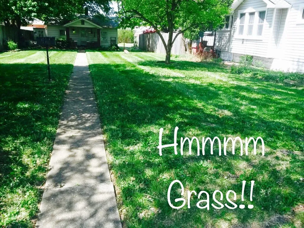 Top-rated landscape installation for beautiful yards across Greenwood, IN - McDaniel's Lawn Care