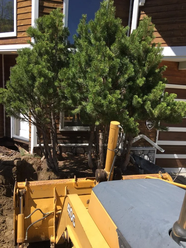 Local yard maintenance experts serving Big Bear Lake, CA - McDonald Construction