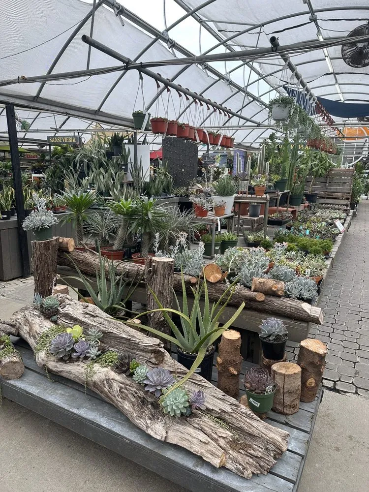 Trusted lawn care service in Virginia Beach, VA by McDonald Garden Center