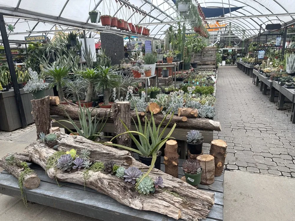 Local outdoor landscaping for beautiful yards in Virginia Beach, VA by McDonald Garden Center