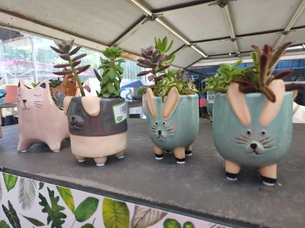 Local yard cleanup service in Virginia Beach, VA - McDonald Garden Center