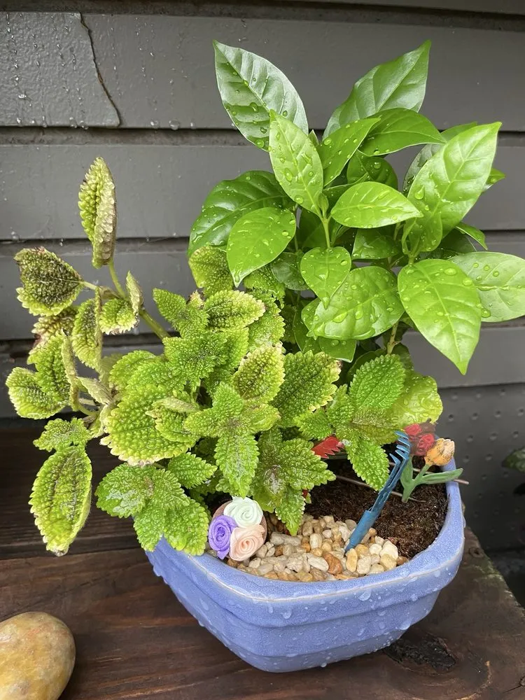 Expert lawn care service experts serving Virginia Beach, VA - McDonald Garden Center