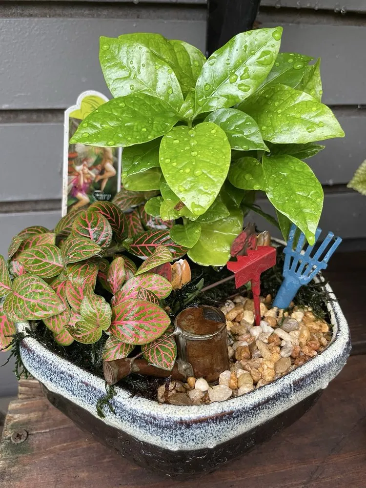 Reliable landscape design in Virginia Beach, VA by McDonald Garden Center