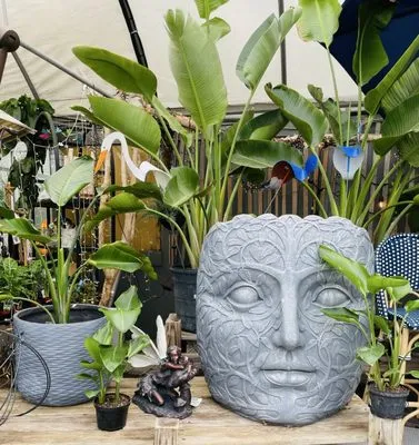 McDonald Garden Center