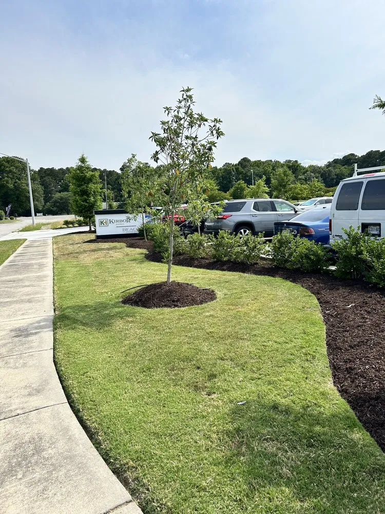 Local yard cleanup service for outdoor upgrades across Virginia Beach, VA - Mcdonald Group Landscaping Company