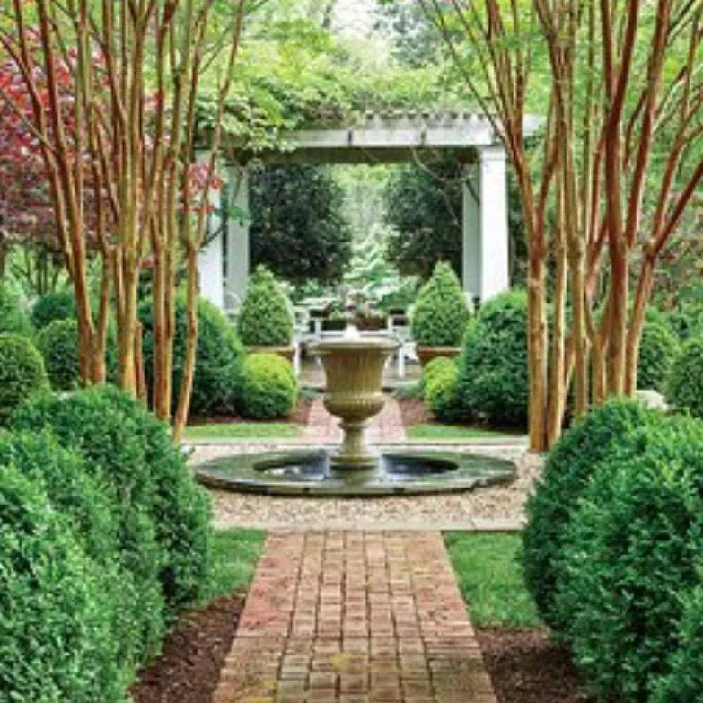 Top-rated yard cleanup service experts serving Starkville, MS - McDonald Landscape