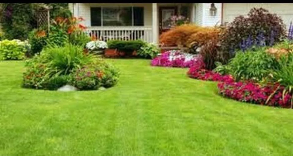 Affordable landscape installation in Starkville, MS - McDonald Landscape