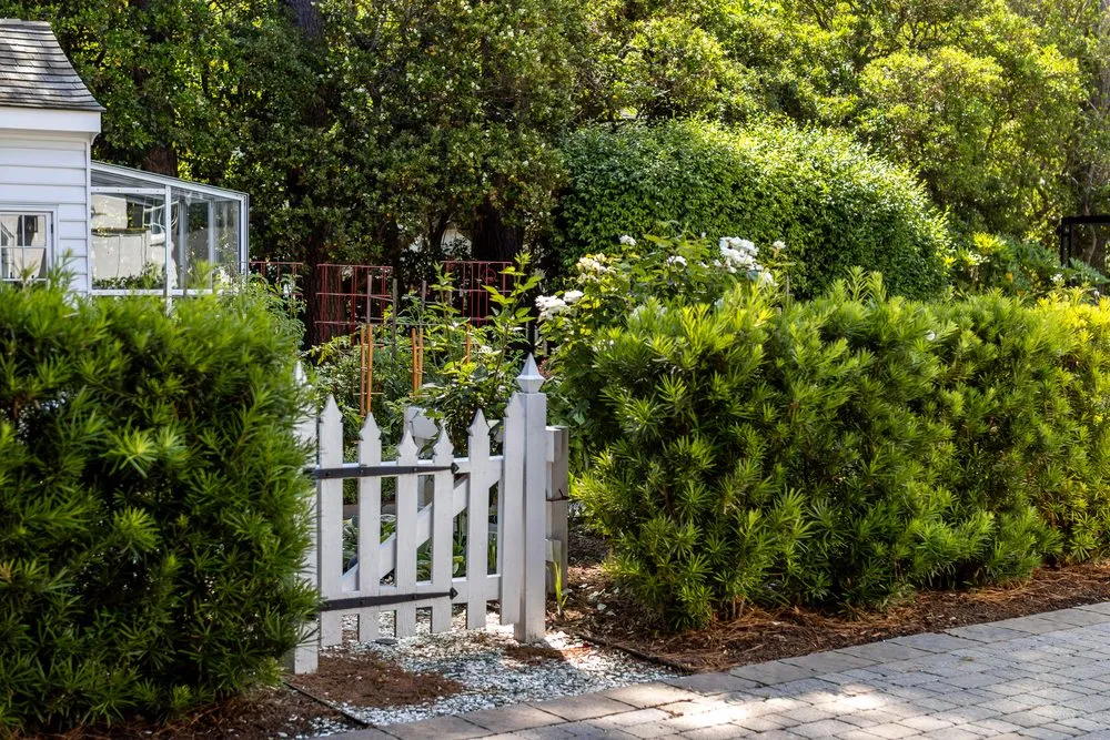 Reliable yard cleanup service with custom design in Virginia Beach, VA by McDonald Landscapes