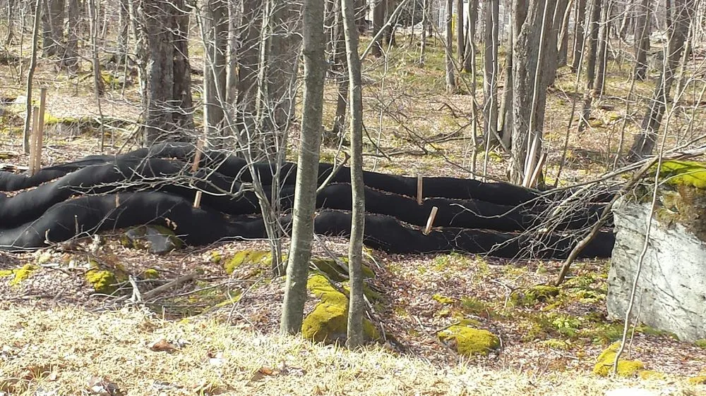 Expert landscaping services experts serving Curwensville, PA - McDonald Landscaping