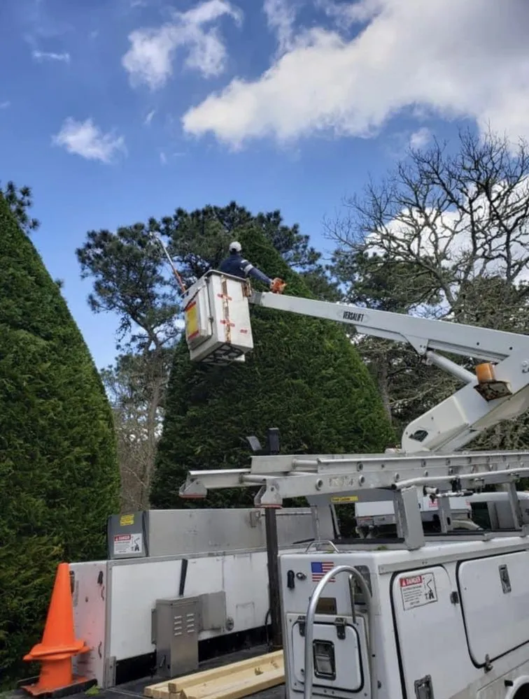 Reliable residential landscaping experts serving Chatham, MA - McDonald Landscaping Group