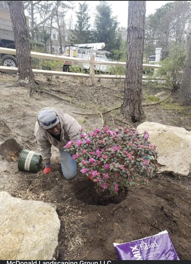Top-rated yard cleanup service in Chatham, MA - McDonald Landscaping Group