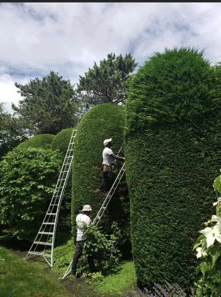 Local yard cleanup service for beautiful yards across Chatham, MA - McDonald Landscaping Group