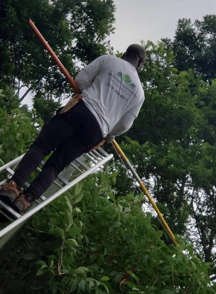 Expert yard cleanup service for outdoor upgrades in Chatham, MA by McDonald Landscaping Group