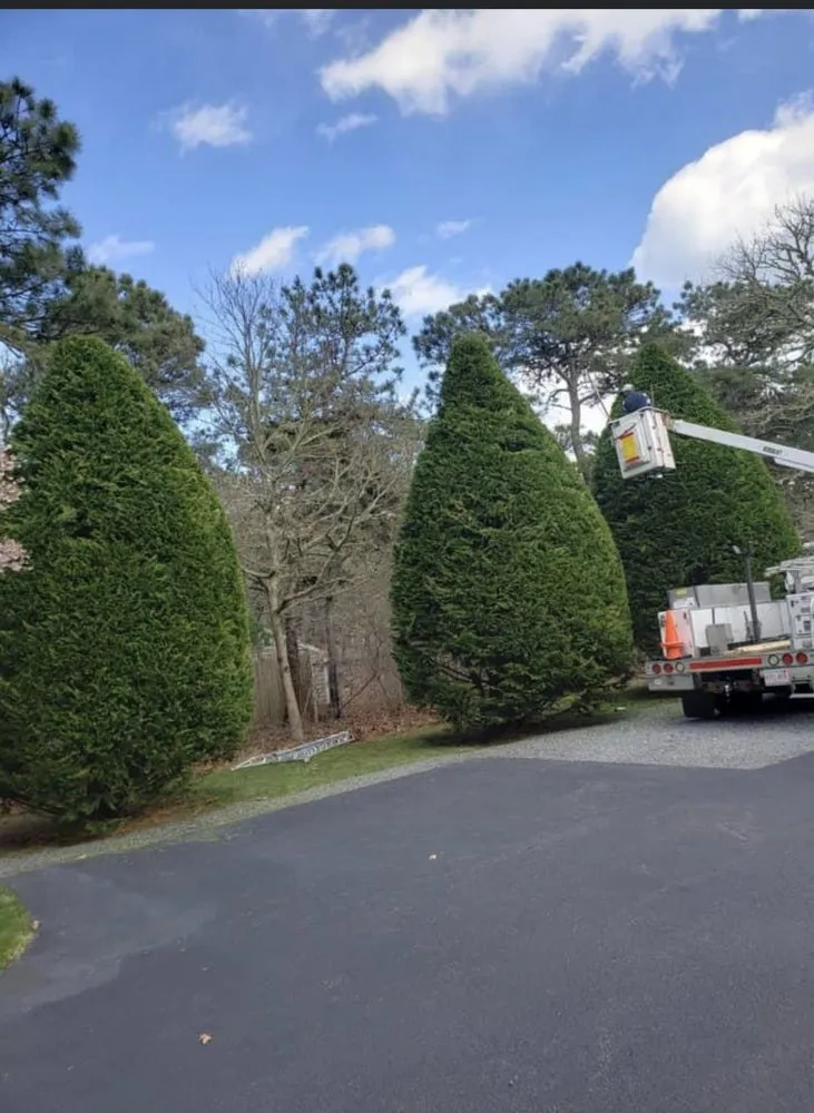 Expert landscape design in Chatham, MA by McDonald Landscaping Group