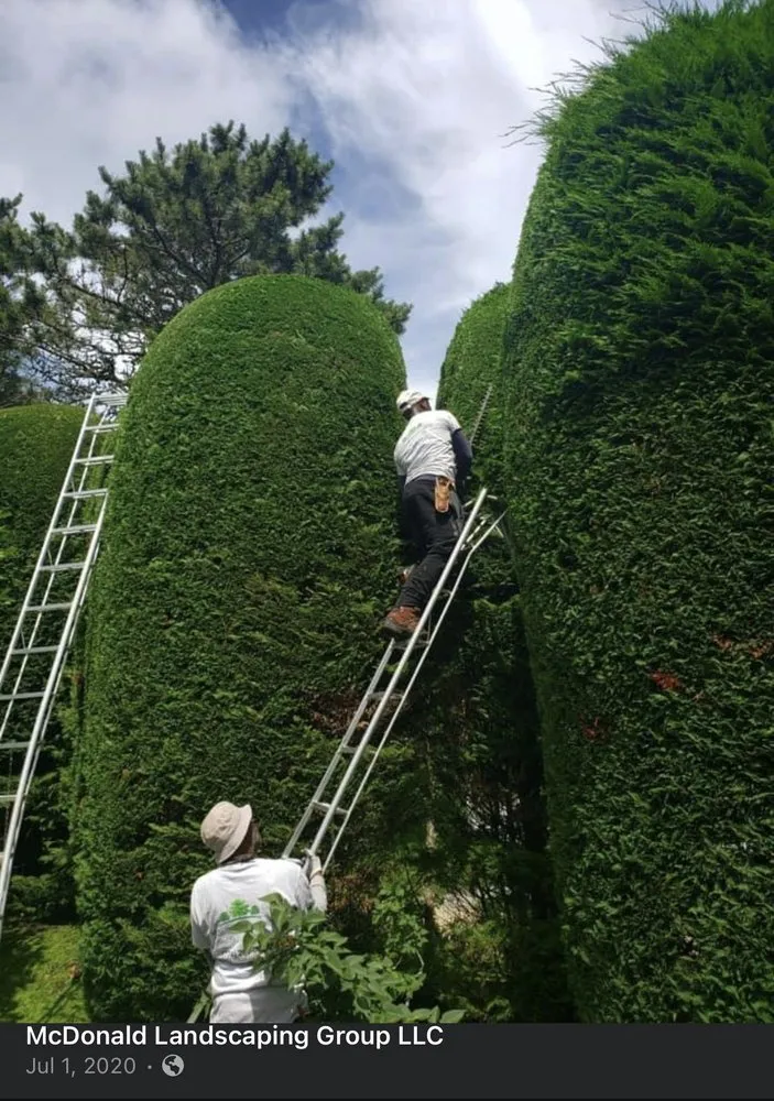 Local landscape installation for homes across Chatham, MA - McDonald Landscaping Group