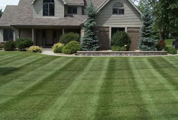 McDonald Landscaping