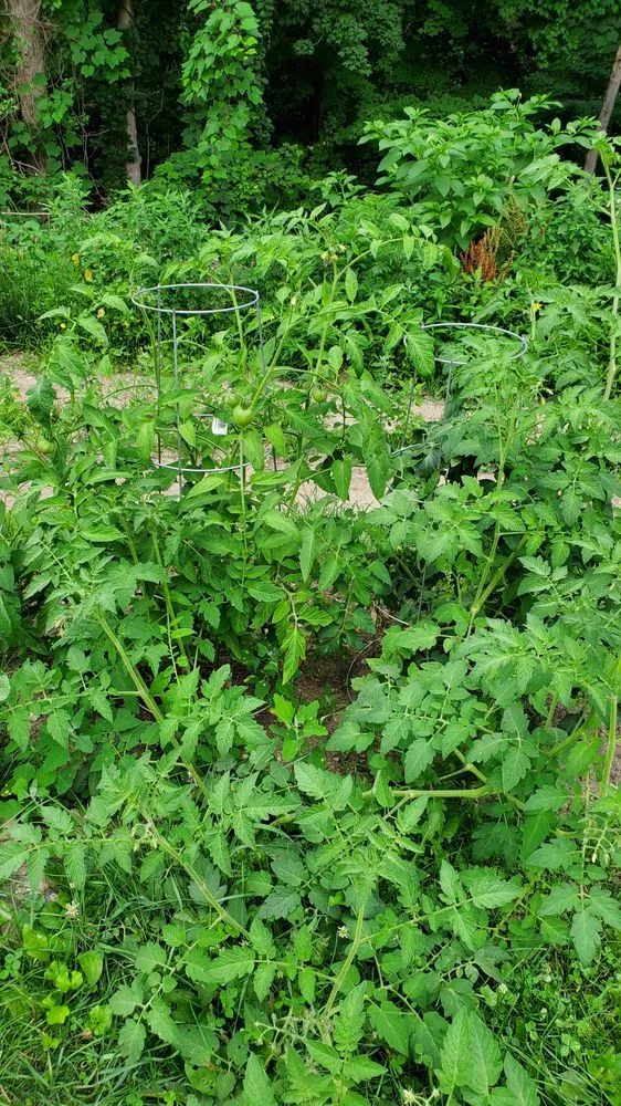 Reliable landscaping services in Sharon, CT by McDonald Lawn and Garden