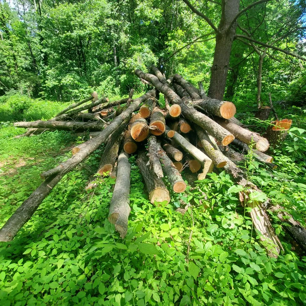 Trusted yard cleanup service in Sharon, CT - McDonald Lawn and Garden